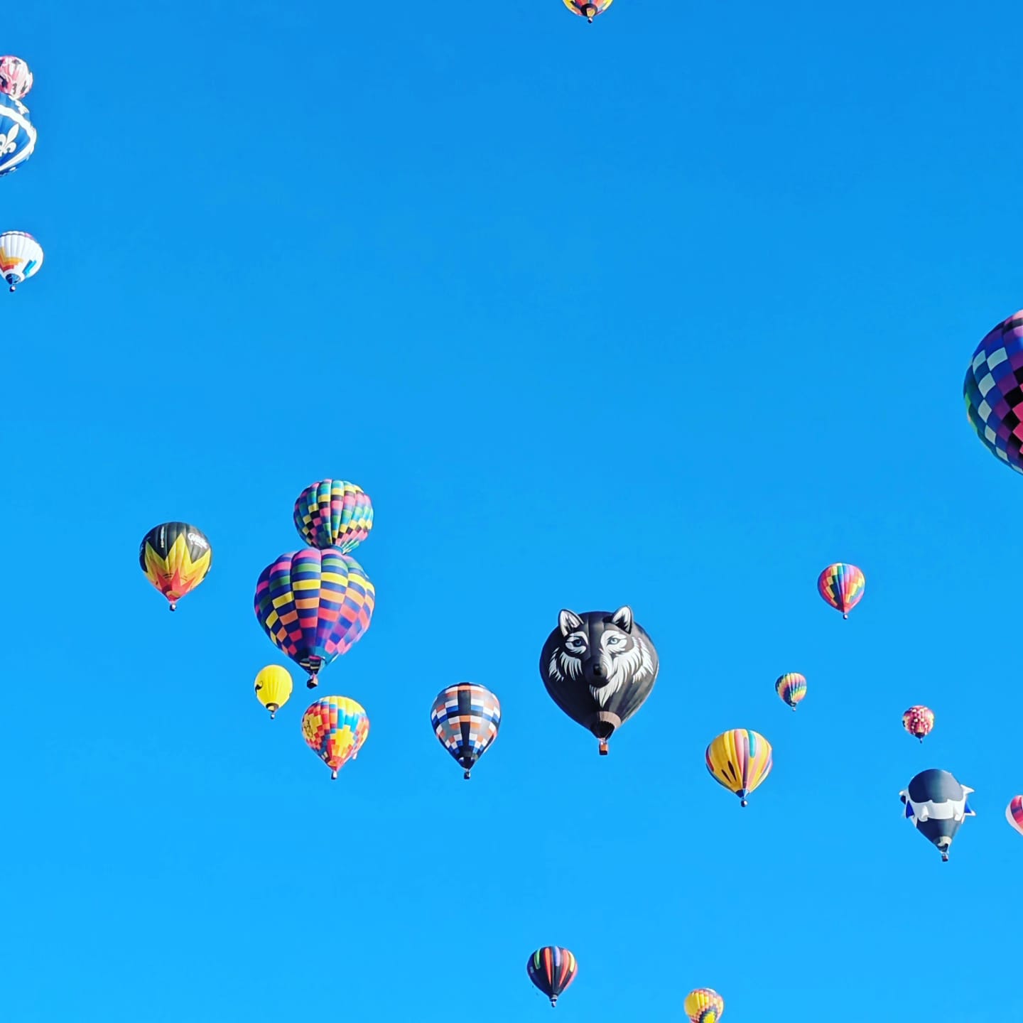 Skies Full of Dreams